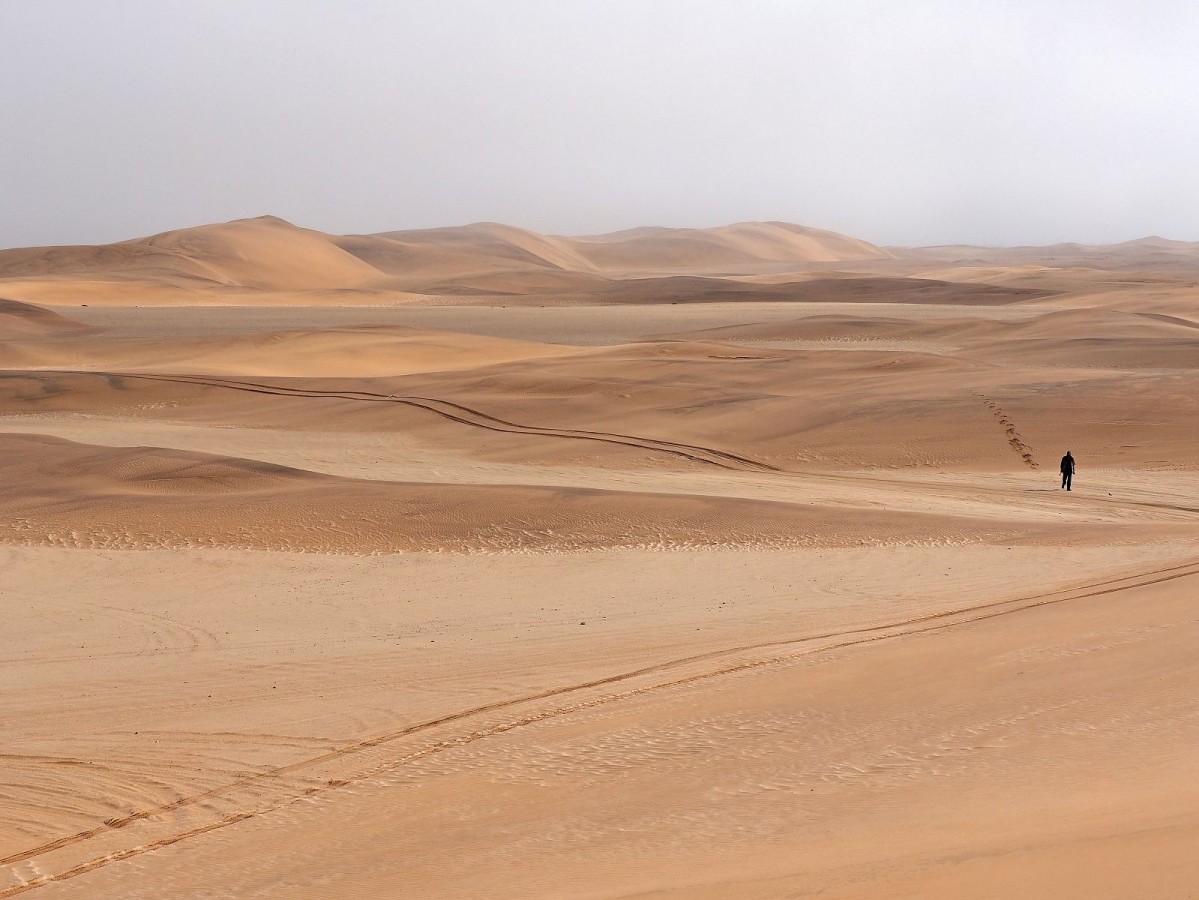 einsam in der Wüste