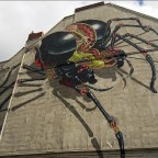 Graffiti Spinne