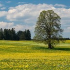 Unterwegs in Oberbayern