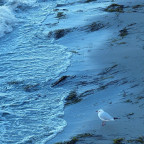 - blaue Stunde in Seebad Lubmin