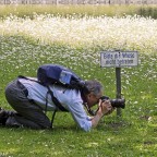 Bitte die Wiese nicht betreten