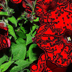 Betunien -