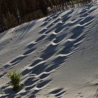 Spuren im Sand