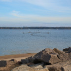 Freest  - Fischerort