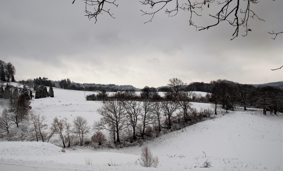 Winter - Landschaft