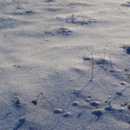Spuren im Schnee -