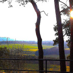 Rauenstein -
